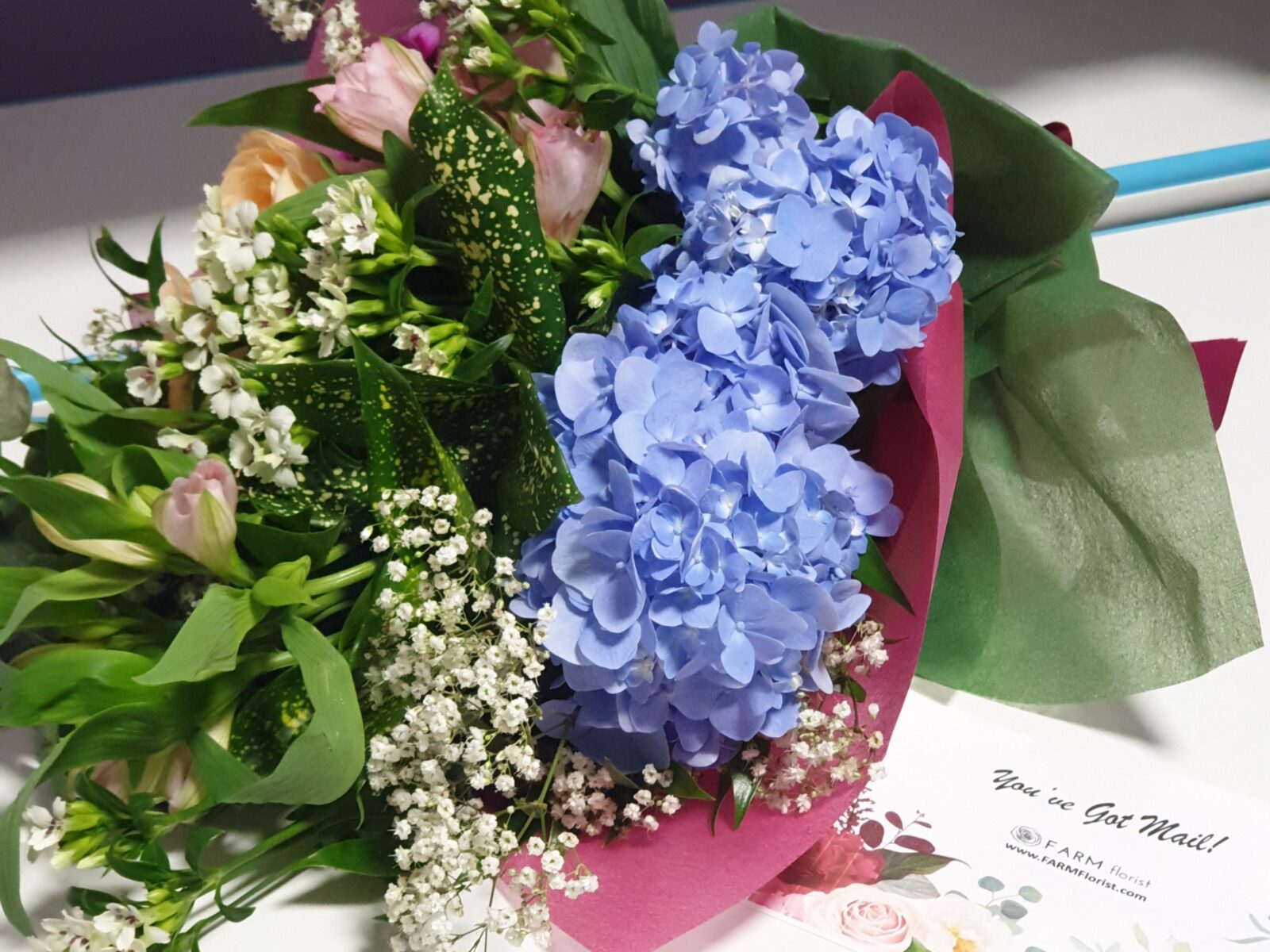 Farm Florist, RainbowDiaries.com