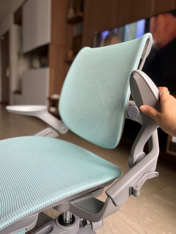 Hinomi Ergonomic Zee Chair